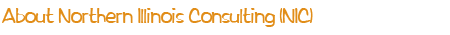 About Northern Illinois Consulting