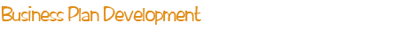 Business Plan Development