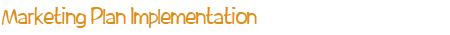Marketing Plan Implementation